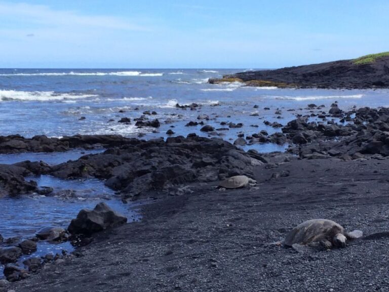 Kona: Hawaii Volcanoes National Park Tour - Who Will Love This Tour?