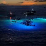 Kona: Manta Ray Night Snorkel Adventure - Who Will Love This Tour?