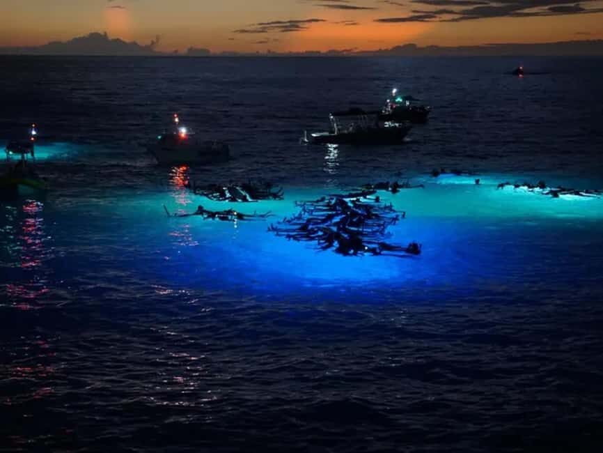 Kona: Manta Ray Night Snorkel Adventure - Who Will Love This Tour?