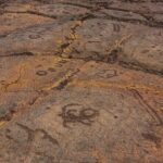 Kona Port: Private History & Farmer's Market Excursion - The Itinerary in Detail