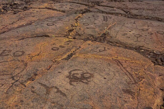 Kona Port: Private History & Farmer's Market Excursion - The Itinerary in Detail