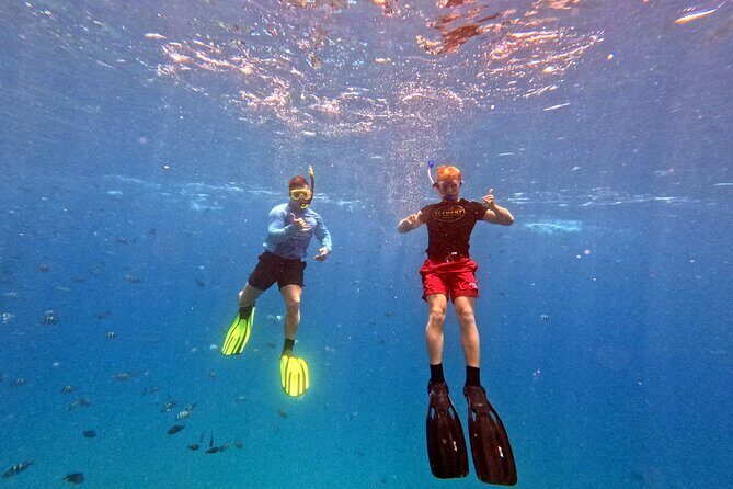 Kona Snorkeling Adventure Open Charter - The Experience from Past Travelers
