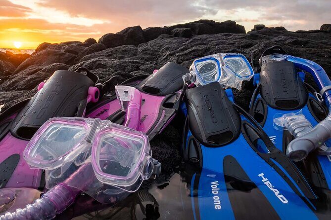 Kona Snorkeling Gear Rental Dive Into Adventure - What To Expect from the Rental Experience