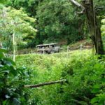 Kualoa Ranch: Jungle Expedition Tour - What to Expect on Your Itinerary