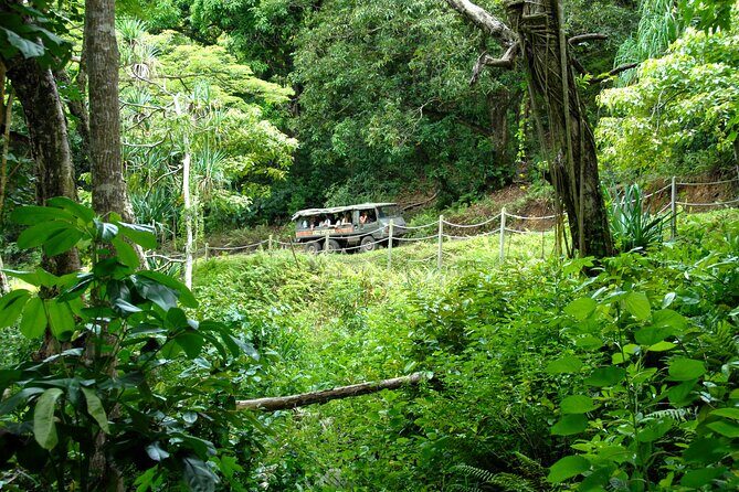 Kualoa Ranch: Jungle Expedition Tour - What to Expect on Your Itinerary