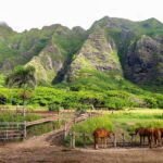 Kualoa Ranch UTV Raptor Tour - Practical Details and Why They Matter