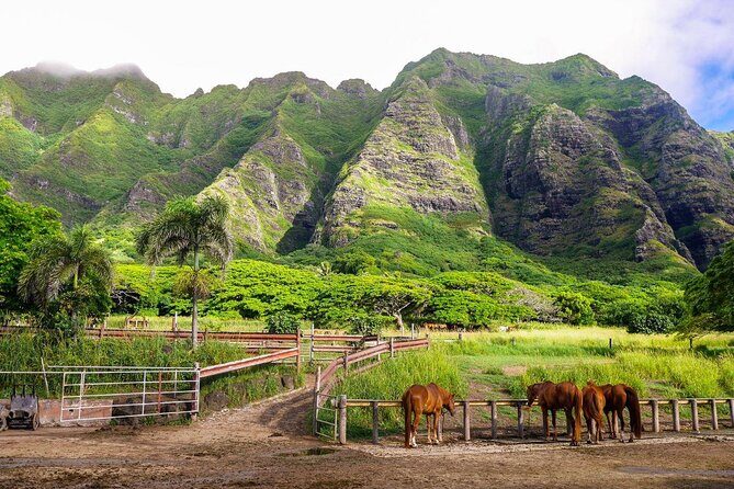 Kualoa Ranch UTV Raptor Tour - Practical Details and Why They Matter