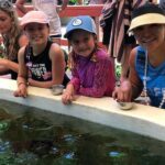 Kula Eco Park Admission - The Itinerary: What’s on Offer