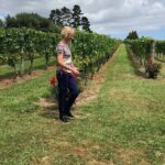 Kumeu Wine Tour - Who Is This Tour Best For?