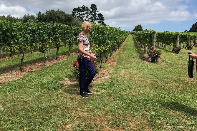 Kumeu Wine Tour - Who Is This Tour Best For?