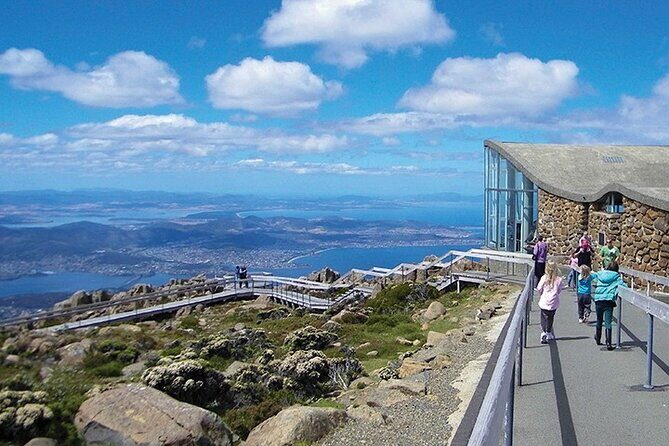 kunanyi/Mt Wellington Tour and MONA Admission - Who Would Love This Tour?