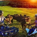 Kuranda 60 minute Quad Bike Experience and Petting Farm - In-Depth Look at the Itinerary