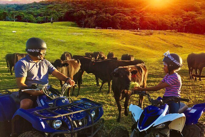 Kuranda 60 minute Quad Bike Experience and Petting Farm - In-Depth Look at the Itinerary