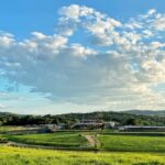 Kuranda Half Day with Petting Zoo & Horse Trail Ride Tour - How the Experience Shapes Up