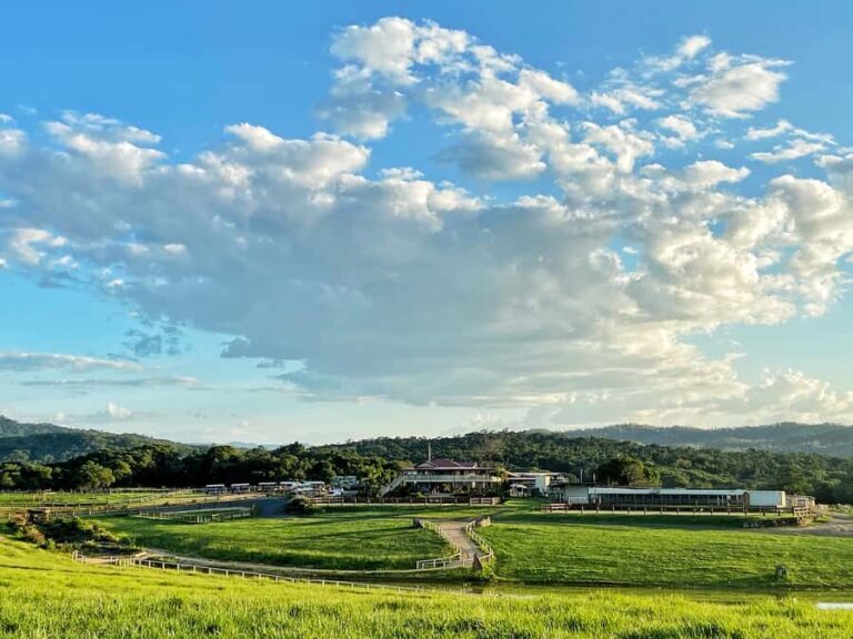 Kuranda Half Day with Petting Zoo & Horse Trail Ride Tour - How the Experience Shapes Up