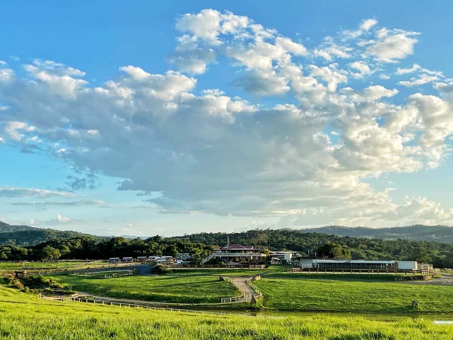 Kuranda Half Day with Petting Zoo & Horse Trail Ride Tour - How the Experience Shapes Up