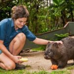 Kuranda Koala Gardens General Entry Ticket - The Experience and Value for Money