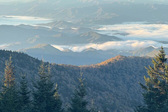 Kuwohi Mountain Great Smoky Mountains Tour - Authentic Traveler Insights