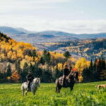 La Bleuetière: A charming introduction to horseback riding - The Details: From Booking to Riding
