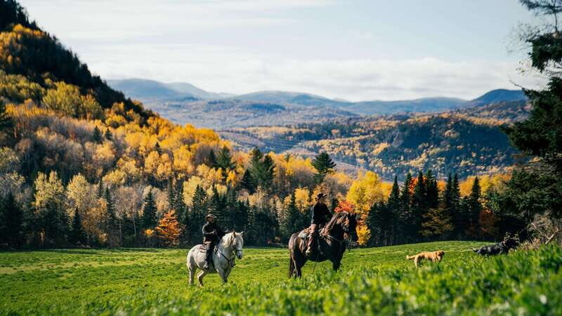 La Bleuetière: A charming introduction to horseback riding - The Details: From Booking to Riding