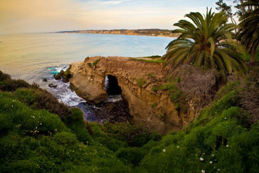 La Jolla: 2-Hour Guided Segway Tour - The Highlights: Beaches, Coves, and More