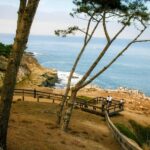 La Jolla Free fall Electric Bike Tour - The Itinerary in Detail