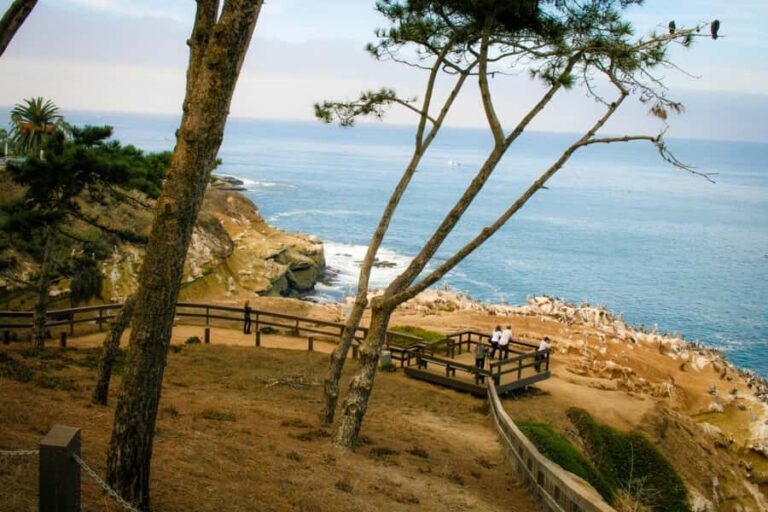 La Jolla Free fall Electric Bike Tour - The Itinerary in Detail