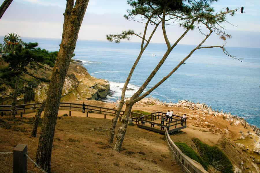 La Jolla Free fall Electric Bike Tour - The Itinerary in Detail