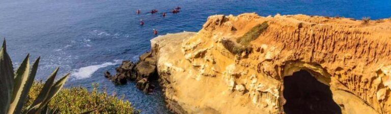 La Jolla: Full-Day Snorkel Gear Rental with Wetsuit Option - Pricing and Value