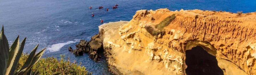 La Jolla: Full-Day Snorkel Gear Rental with Wetsuit Option - Pricing and Value