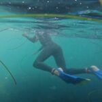 La Jolla Snorkel with the Leopard Sharks - Value for Money and Duration