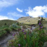 La Malinche Volcano: Hike to the Top and Explore Tlaxcala - Analyzing the Value