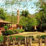 La Noria Village and Los Osuna Tequila Experience. - Practical Details & Considerations