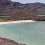 La Paz City Tour from Cabo - Who Should Consider This Tour?