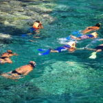 La Paz: Coral Farm Snorkel Tour - Who Will Enjoy This Tour?