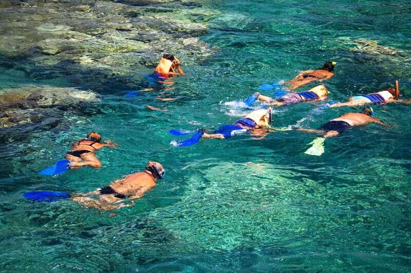 La Paz: Coral Farm Snorkel Tour - Who Will Enjoy This Tour?