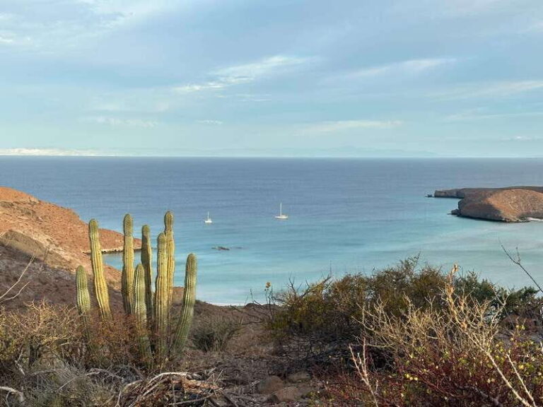 La Paz: Deluxe Yacht Adventure with Paddleboarding - The Itinerary in Detail