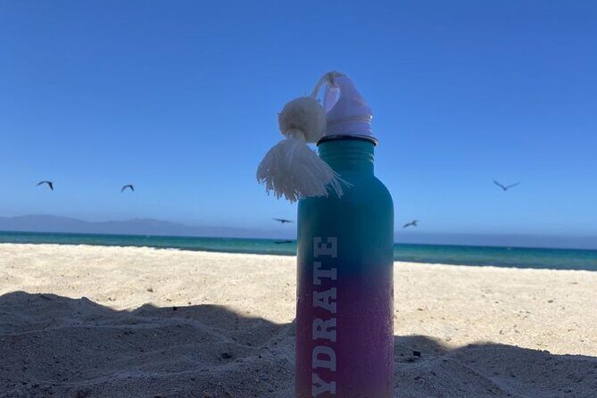 La Paz El Triunfo and La Ventana Day Trip with Lunch - Who Will Love This Tour?