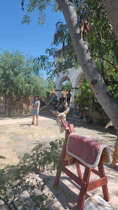 La Paz: El Triunfo Town Tour with Lunch and Transportation - Who is This Tour Best For?