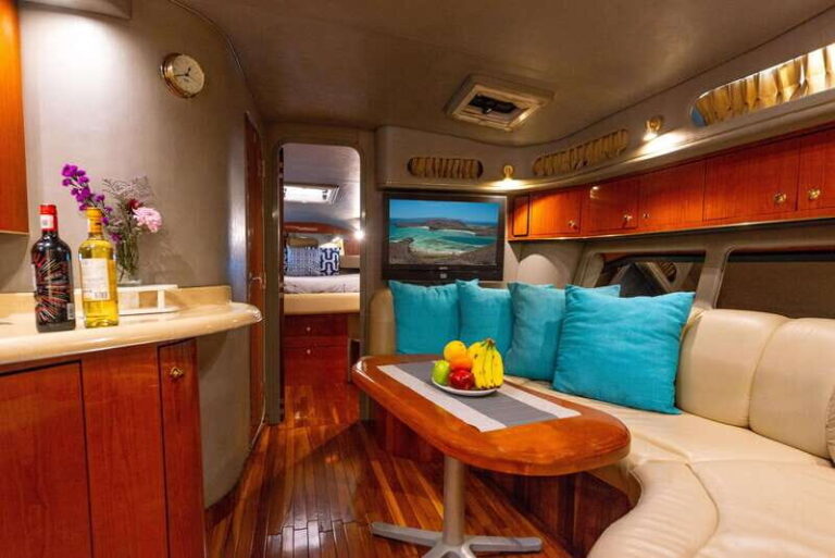 La Paz: Espiritu Santo Island and Balandra Bay Day Cruise - Exploring San Rafaelito and Its Sea Lions