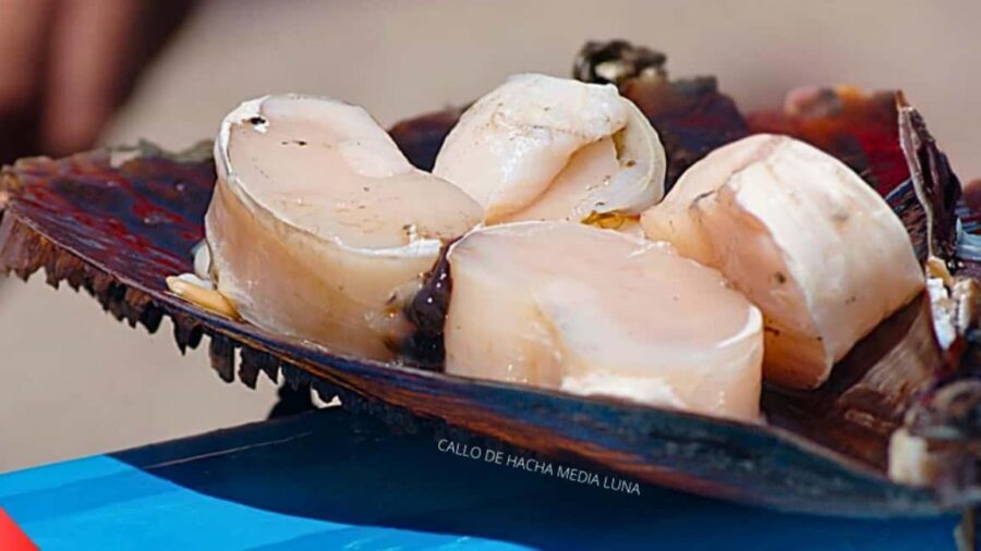 La Paz: Mangrove Adventure, Snorkeling and Shellfish Tasting - Practical Details and What to Expect