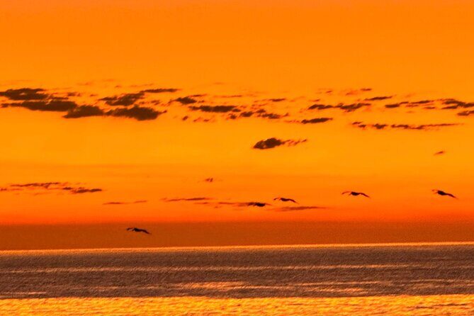 La Paz Mexico Sunset Cruise with Local Guides : small group - The Marine Encounters and Guide’s Role