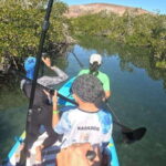 La Paz: Sea Lions & Mega-Paddleboard Tour in Balandra - Final Thoughts