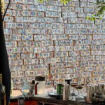 La Paz: Todos Santos Day Trip - The Practicalities