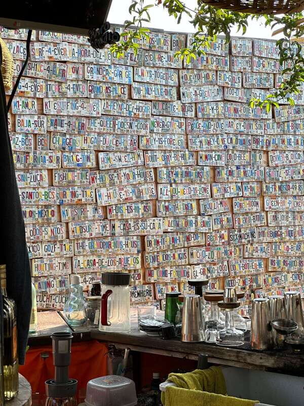 La Paz: Todos Santos Day Trip - The Practicalities