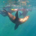 La Paz Wildlife Ocean Safari & Beach Club Leisure in La Ventana - Who Should Consider This Tour?