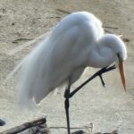 LA River Eco Tour and Secret Stair Hike - What Reviewers Say