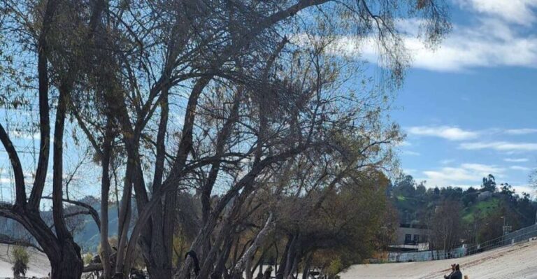 LA River Eco Tour and Secret Stair Hike - A Detailed Look at the Tour Experience