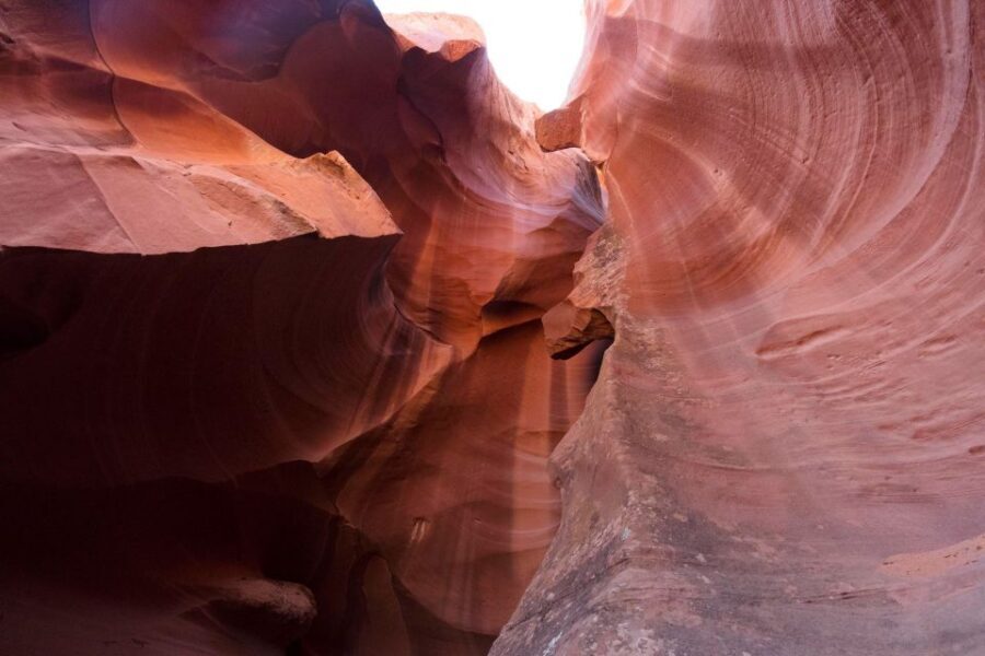 LA: Vegas, Grand Canyon, Antelope and Bryce, Zion 4-Day Tour - The Experience: What Youll Love