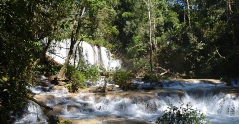 Lacandon Jungle Adventure and Bonampak Archaelogical Site - The Practicalities